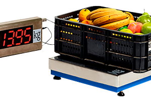 BALANZA DIGITAL  MODELO MASTER CON CABEZAL SEPARADO