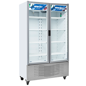 EXHIBIDORA VERTICAL 953 LTS MASTER 10000 BRIKET